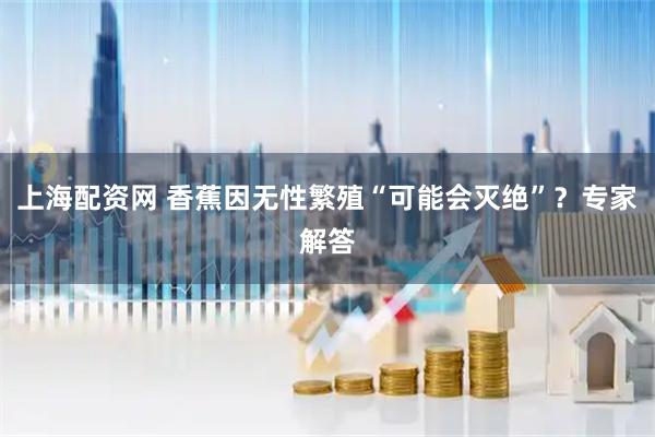 上海配资网 香蕉因无性繁殖“可能会灭绝”？专家解答