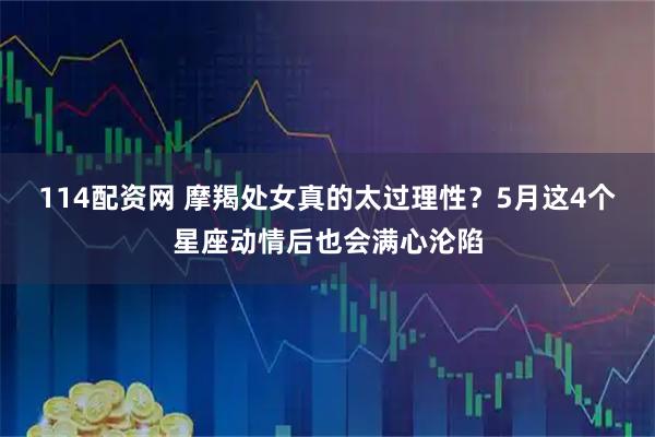 114配资网 摩羯处女真的太过理性？5月这4个星座动情后也会满心沦陷
